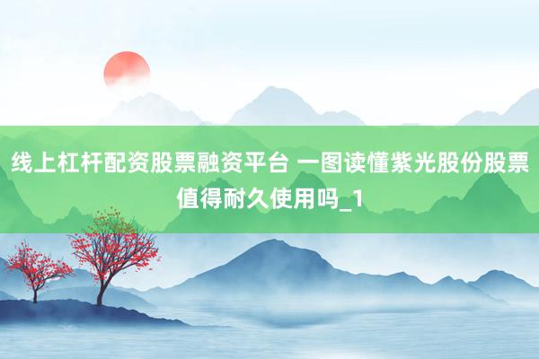 线上杠杆配资股票融资平台 一图读懂紫光股份股票值得耐久使用吗_1