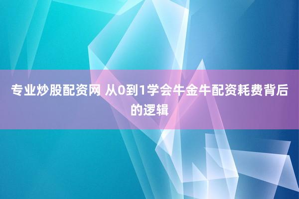 专业炒股配资网 从0到1学会牛金牛配资耗费背后的逻辑
